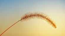 Eerste klimatologisch overzicht van december en van het jaar 2018