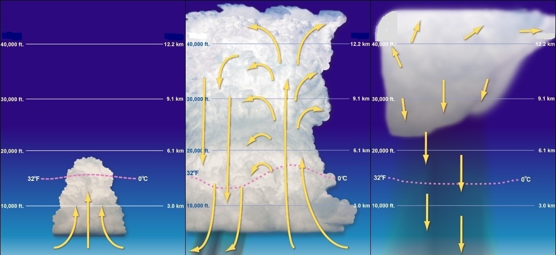 De ontwikkelingsfase, de volwassen fase en het eindstadium van een eencellig onweer.