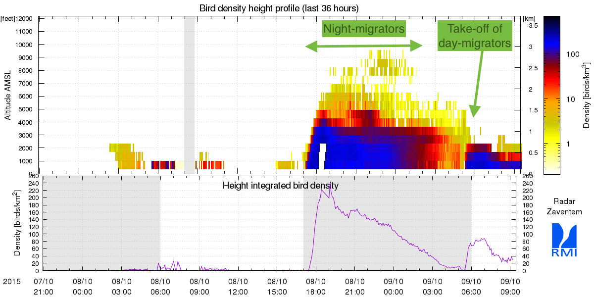 Figure 2 : La figure 2 montre le même type de données que celles de la figure 1 mais pour le radar de Zaventem. On peut y voir que les oiseaux volent nettement plus près du sol dans cette région.