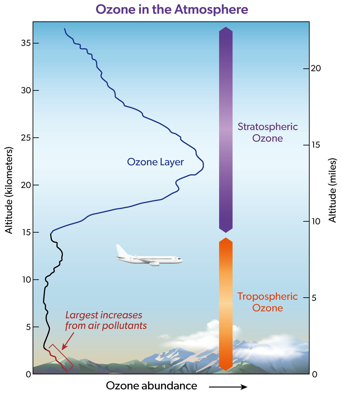 Vertical ozone distribution