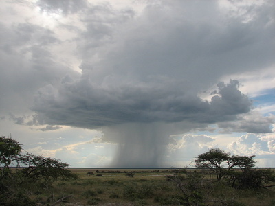 Une averse vue de loin. Lorsque le temps est variable, il n’y a pas toujours des cumulus, mais parfois aussi du temps sec.