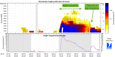 Figuur 2: Dezelfde inhoud als deze van figuur 1 maar voor de radar van Zaventem. In deze regio trekken de vogels duidelijk lager bij het aardoppervlak.