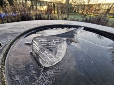 Crédits : Ronny Segers