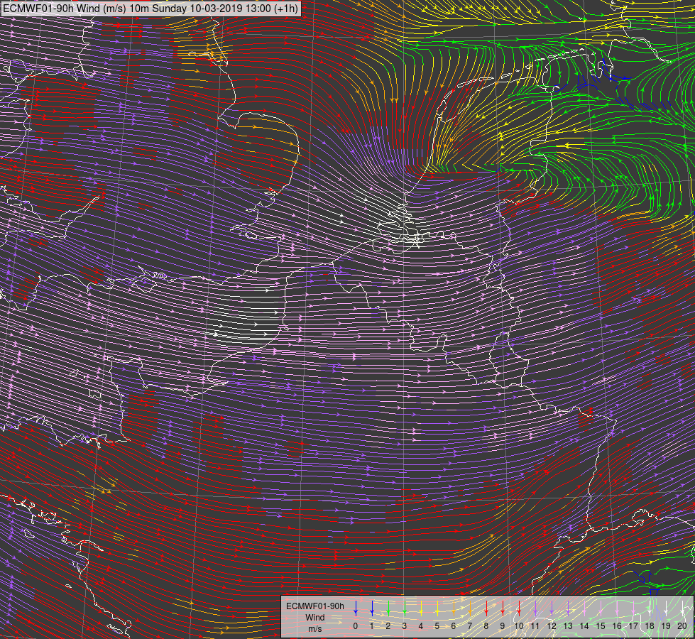 Windveld op 10 m (ECMWF-voorspelling voor zondag 10/3 om 12u UT, run van zondag 10/3 tot 12u UT): veldlijn + snelheid in m/s (kleuren)