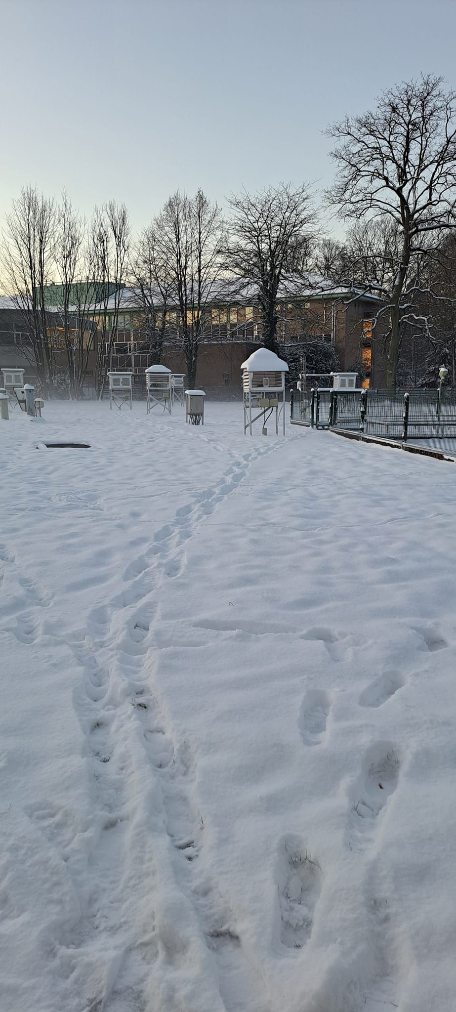 La neige au parc climatologique de l'IRM